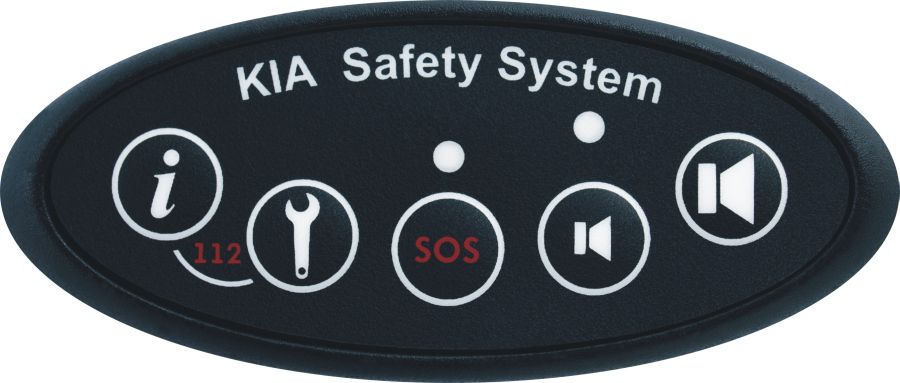 Security system kia