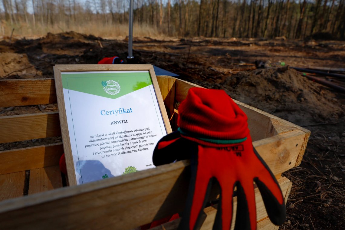 Sadzenie_lasu_Anwim4