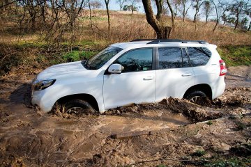 LC_150_08 (1 of 1)small