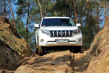 LC_150_09 (1 of 1)small