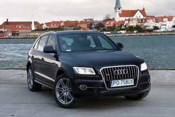 Audi_przod (1)