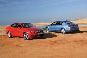 Octavia_wspolne_fot.PD