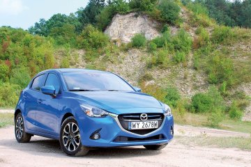 fot. 1 - Zdzisio (1)