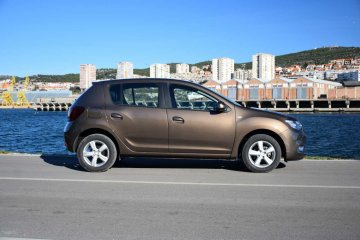 Sandero (11)